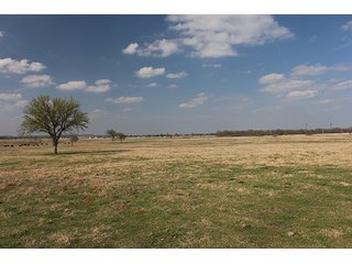 Tract 12 - LAND & MINERAL ACRES OKLAHOMA AUCTION, 588+/- Land & Producing Mineral Acres offered in 24 Tracts in Okmulgee County